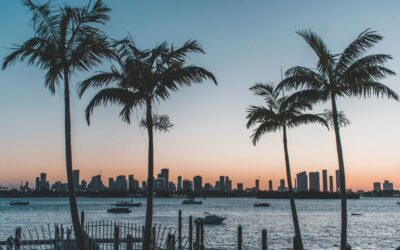 Personeelsreis Florida