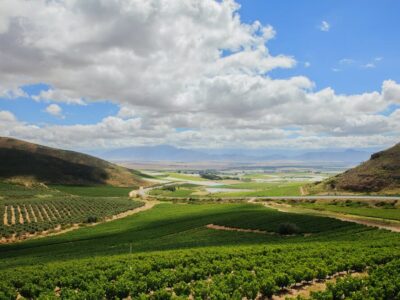 Personeelsreis Zuid Afrika