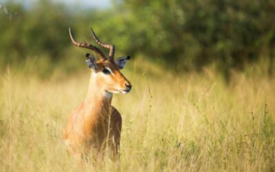 Personeelsreis Zuid Afrika
