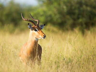 Personeelsreis Zuid Afrika