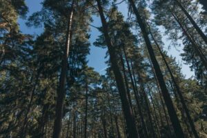 Personeelsreis Stockholm