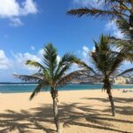 Bedrijfsreis Gran Canaria