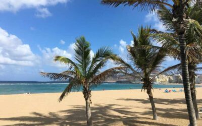 Bedrijfsreis Gran Canaria