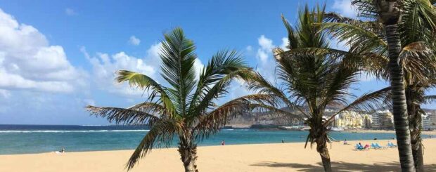 Bedrijfsreis Gran Canaria